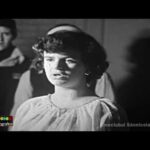 #IstoriiCinematografice – Povești din arhivă: film la Sânnicolau Mare