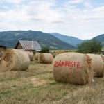 Exploratori în Satul Luminii. Sadu – destinație de excelență, 20 iulie 2025