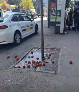 Loredana Diacu : Nu am cuvinte de revoltă după ce m-am uitat la imaginile cu polițistul local din București care a simțit nevoia să umilească o femeie în vârstă care vindea legume în Dorobanți